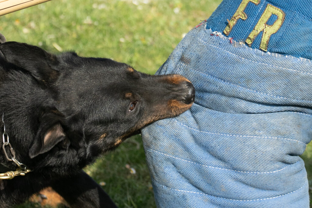 DSC09384